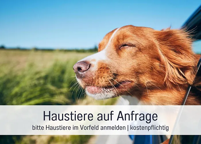 Hausboot Claudia Tekne *